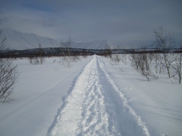 Хибины (Апатиты, Кольский полуостров), март 2013