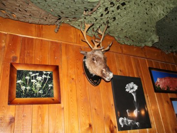 Дугоба (Памиро-Алай, Киргизия), май 2013