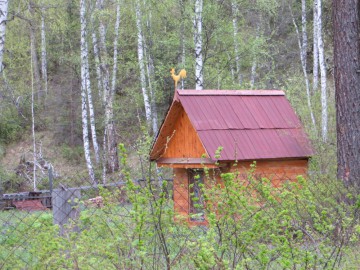 Алтай, май 2013. Красоты Алтая