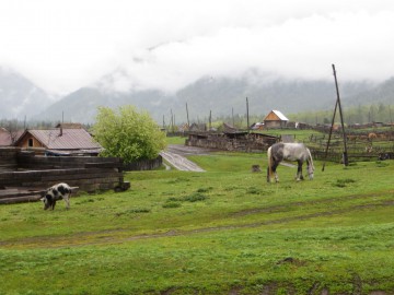 Алтай, май 2013. Красоты Алтая