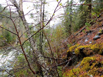 Алтай, май 2013. Красоты Алтая