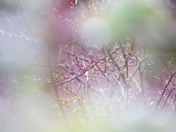 Алтай, май 2013. Красоты Алтая