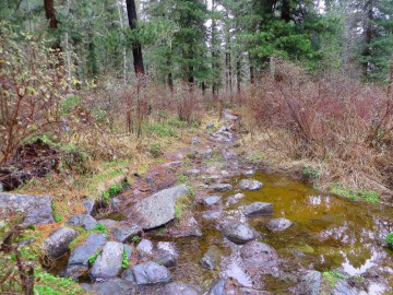 Алтай, май 2013. Красоты Алтая