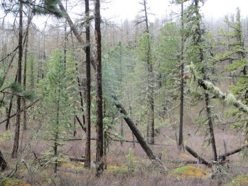 Алтай, май 2013. Красоты Алтая