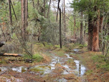 Алтай, май 2013. Красоты Алтая