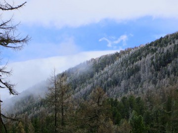 Алтай, май 2013. Красоты Алтая