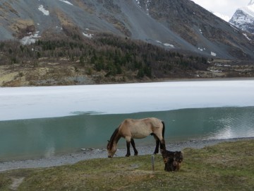 Алтай, май 2013. Красоты Алтая