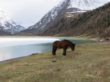 Алтай, май 2013. Красоты Алтая