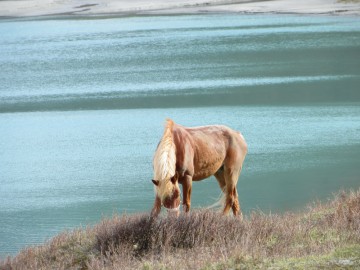 Алтай, май 2013. Красоты Алтая