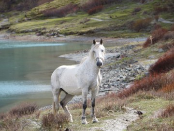 Алтай, май 2013. Красоты Алтая