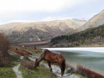 Алтай, май 2013. Красоты Алтая