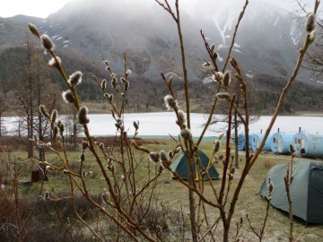 Алтай, май 2013. Красоты Алтая