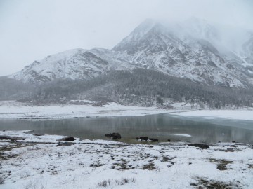 Алтай, май 2013. Красоты Алтая
