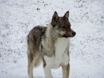 Алтай, май 2013. Красоты Алтая