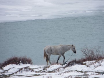 Алтай, май 2013. Красоты Алтая