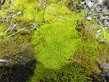 Алтай, май 2013. Красоты Алтая