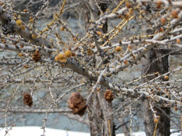 Алтай, май 2013. Красоты Алтая