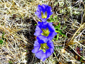 Алтай, май 2013. Красоты Алтая