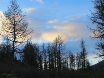 Алтай, май 2013. Красоты Алтая