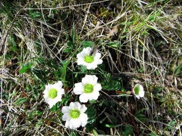 Алтай, май 2013. Красоты Алтая