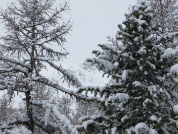 Алтай, май 2013. Красоты Алтая