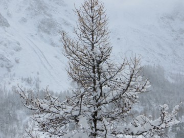 Алтай, май 2013. Красоты Алтая