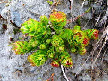 Алтай, май 2013. Красоты Алтая