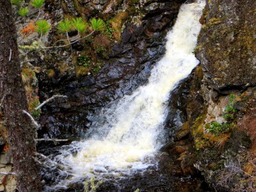 Алтай, май 2013. Красоты Алтая