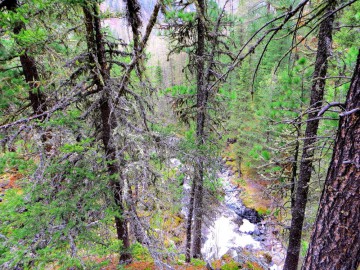 Алтай, май 2013. Красоты Алтая