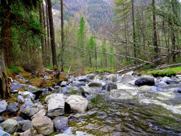 Алтай, май 2013. Красоты Алтая