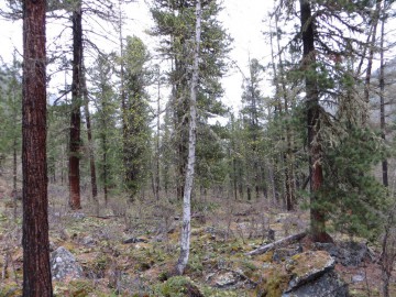 Алтай, май 2013. Красоты Алтая