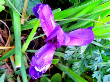 Алтай, май 2013. Красоты Алтая