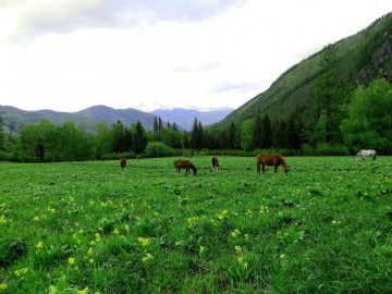 Алтай, май 2013. Красоты Алтая