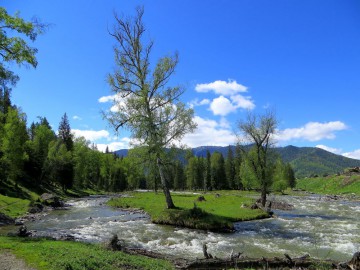 Алтай, май 2013. Красоты Алтая
