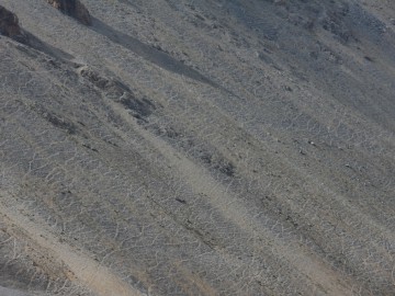 Дугоба (Памиро-Алай), август 2013