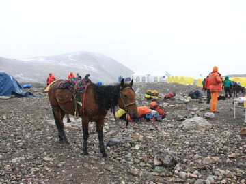 Пик Ленина (Памир), август 2013