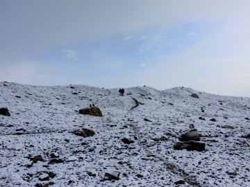 Пик Ленина (Памир), август 2013