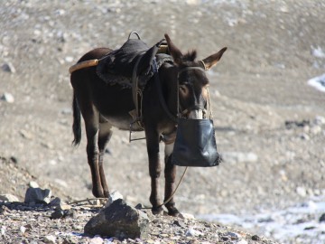 Пик Ленина (Памир), август 2013