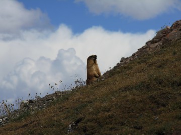 Пик Ленина (Памир), август 2013