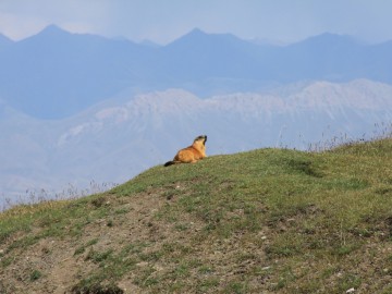 Пик Ленина (Памир), август 2013