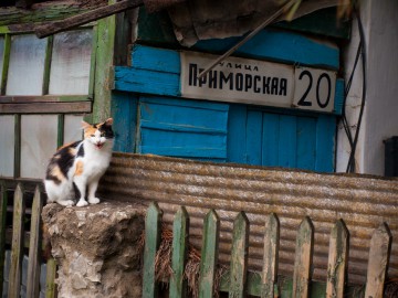 Судак (Крым), октябрь 2013