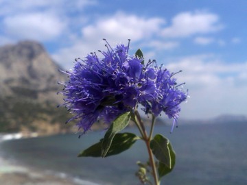 Судак (Крым), октябрь 2013