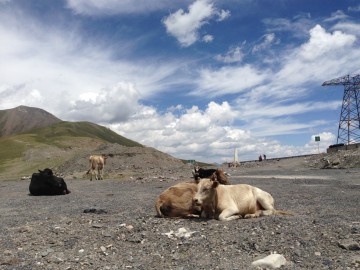 Пик Ленина (Памир), июль-август 2014