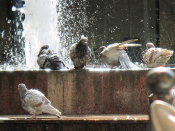 Восхождение на Аконкагуа (Анды, Южная Америка), февраль 2014