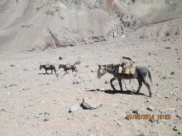 Восхождение на Аконкагуа (Анды, Южная Америка), февраль 2014