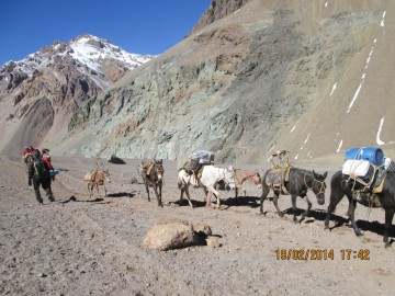 Восхождение на Аконкагуа (Анды, Южная Америка), февраль 2014