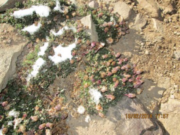 Восхождение на Аконкагуа (Анды, Южная Америка), февраль 2014